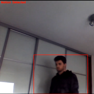 motiondetected.png