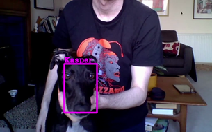 petdetection.png